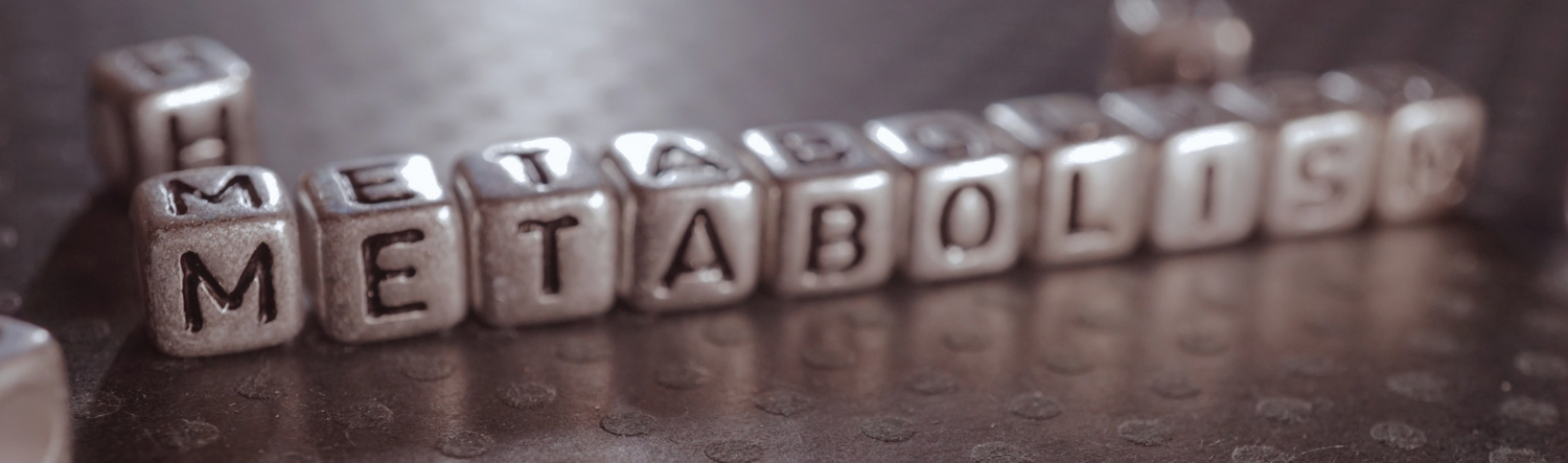 Metabolisme et café adaptogène